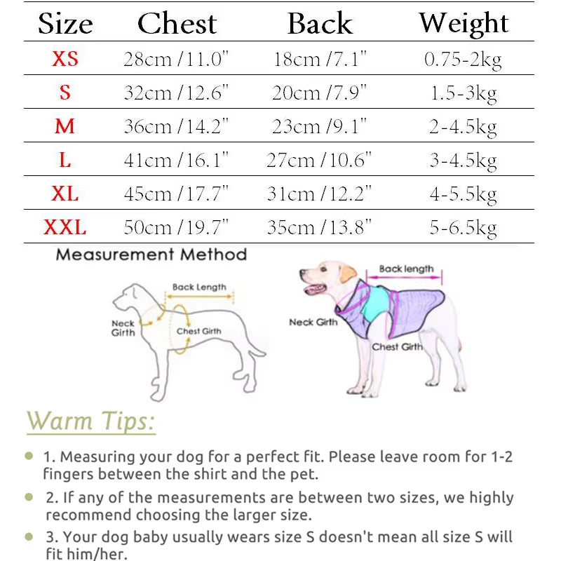 PawVibe Denim Jacket – Cool & Comfy Jean Style for Trendy Pups